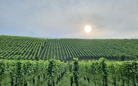 Sternenhimmel-AW